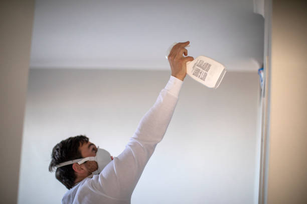 Best Same-Day Mold Removal  in Penryn, CA