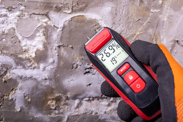 Best Commercial Mold Removal  in Penryn, CA