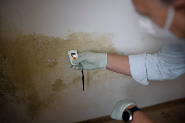 Best Mold Testing  in Penryn, CA