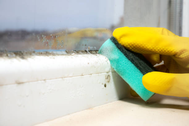 Best Crawl Space Mold Removal  in Penryn, CA