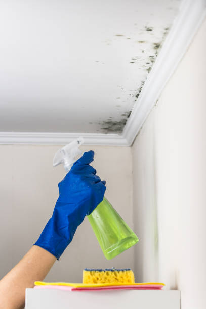 Best Mold Testing  in Penryn, CA